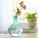 Beachcrest Home Bubble Vase SEHO8555